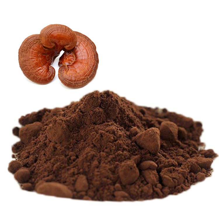 Smooth Texture Red Reishi Powder: Ideal for Capsules and Smoothies